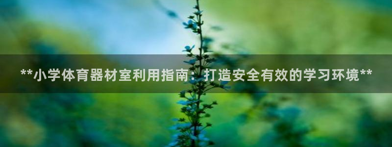 富联娱乐测速地址是什么：**小学体育器材室利用指南：