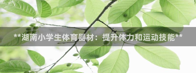 富联官方网站入口下载手机版：**湖南小学生体育器材：
