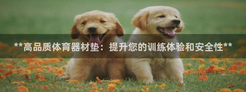 富联平台招商电话：**高品质体育器材垫：提升您的训练体验和安