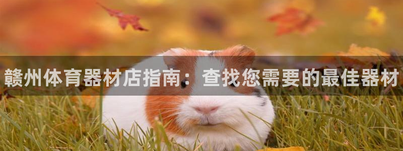 富联娱乐李 411O31 娱乐：赣州体育器材店指南：