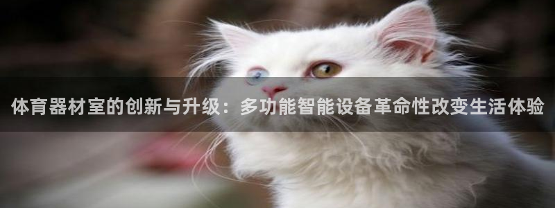 富联娱乐客服微信怎么加：体育器材室的创新与升级：多功