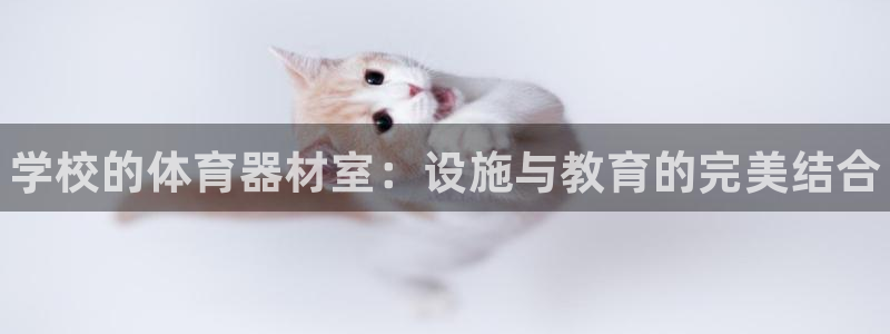 富联娱乐客服微信怎么加：学校的体育器材室：设施与教育的完美结