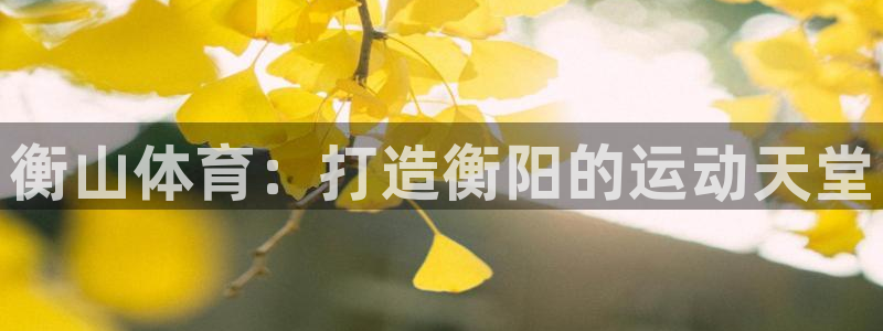 富联平台代理注册流程：衡山体育：打造衡阳的运动天堂