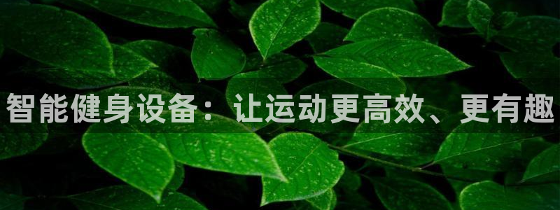 富联官方网站首页登录：智能健身设备：让运动更高效、更有趣