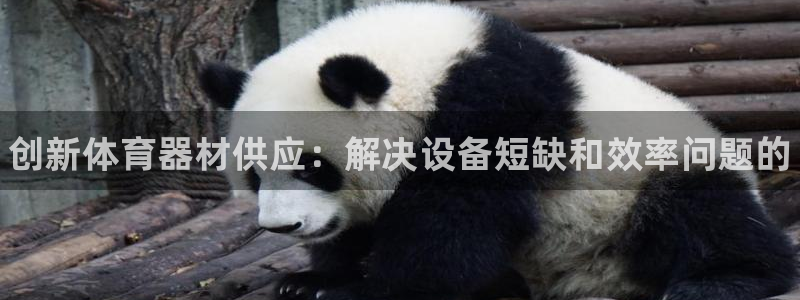 富联平台主管代理：创新体育器材供应：解决设备短缺和效率问题的