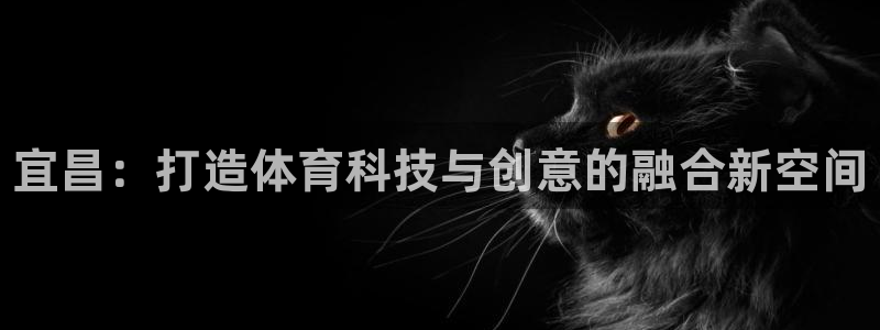 富联娱乐：宜昌：打造体育科技与创意的融合新空间