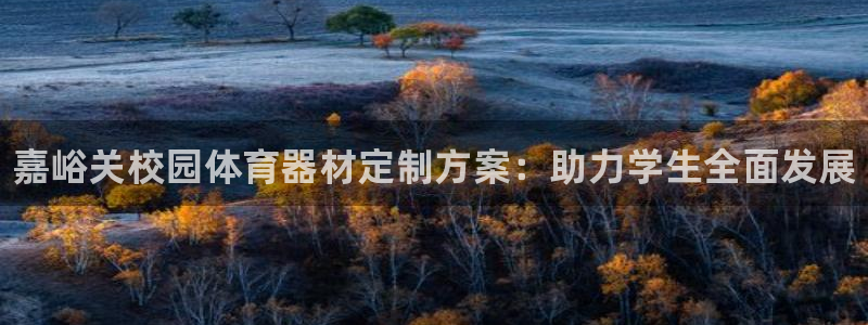 富联娱乐平台开户要钱吗：嘉峪关校园体育器材定制方案：助力学生