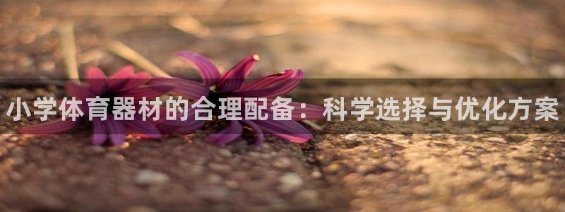 富联平台派7O777：小学体育器材的合理配备：科学选