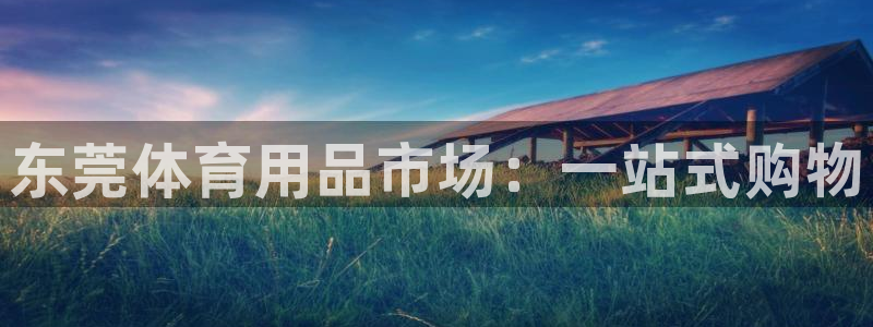 富联股份代码是多少：东莞体育用品市场：一站式购物