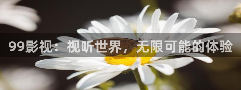 丫丫影院在线播放：99影视：视听世界，无限可能的体验