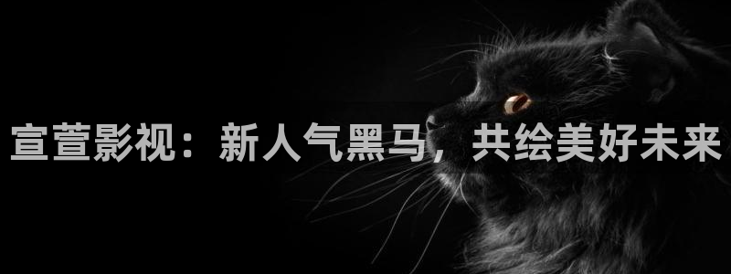 丫丫影院免费观看电影：宣萱影视：新人气黑马，共绘美好未来
