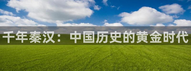 丫丫4410青苹果影院：千年秦汉：中国历史的黄金时代