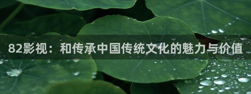 丫丫448o青苹果果影院：82影视：和传承中国传统文化的魅力与价值