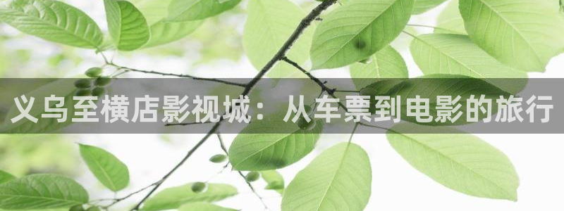 丫丫影院免费观看电影：义乌至横店影视城：从车票到电影的旅行
