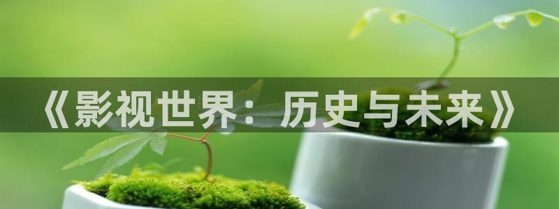 高清丫丫私人影院：《影视世界：历史与未来》