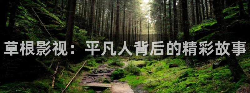 丫丫影院免费观看电影：草根影视：平凡人背后的精彩故事