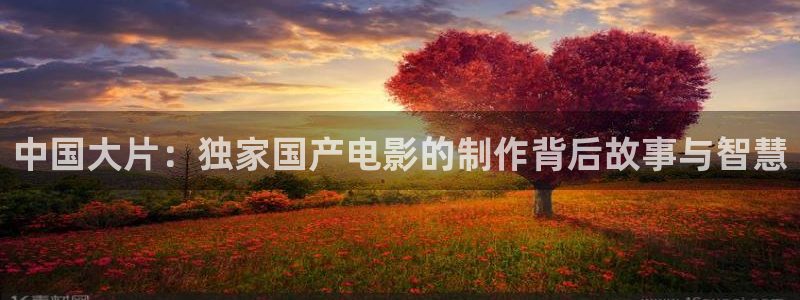 丫丫影院免费观看电视剧丫丫6080：中国大片：独家国产电影的制作背后故事与智慧